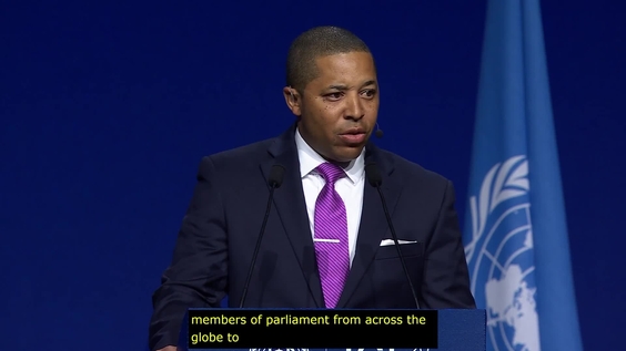 [Parliamentary round table in the IGF plenary] Safeguarding democracy in the digital age: Legislative priorities and policy pathways, IGF 2025