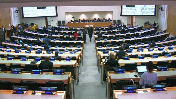 Emerging models of economic activities: Implications for sustainable development - Side Event of the UN General Assembly Second Committee, 74th session