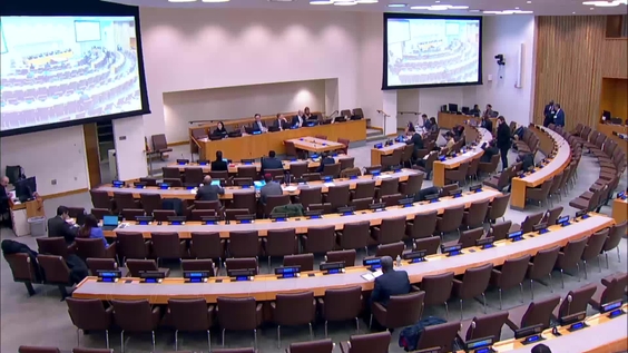 (7th plenary meeting) Committee on Non-Governmental Organizations, 2025 regular session, Economic and Social Council