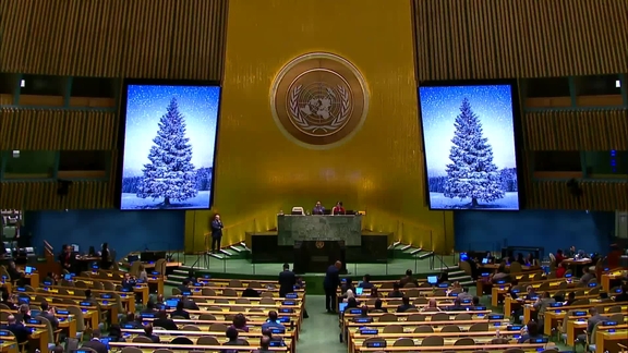 General Assembly: 50th plenary meeting (resumed)