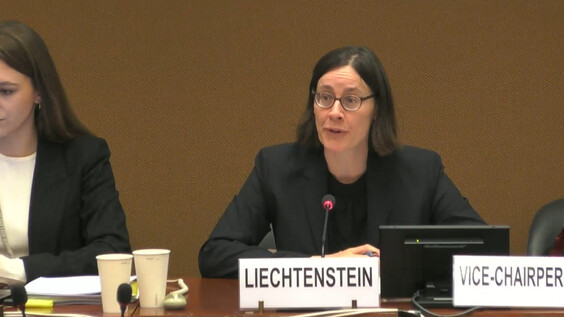 2136th Meeting, 90th Session, Committee on the Elimination of Discrimination against Women (CEDAW)