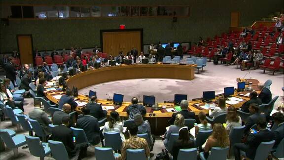 8598th Security Council Meeting: Situation in Middle East