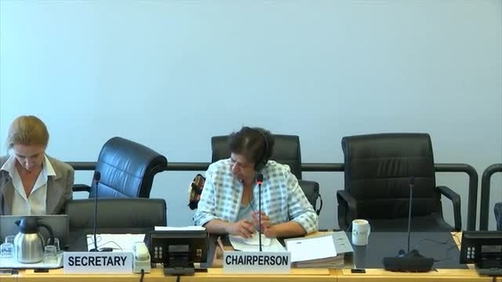 Meetings with Partners - 29th Meeting 61st Session Committee on Economic, Social and Cultural Rights