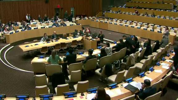 ECOSOC: Coordination and Management, 19th Meeting