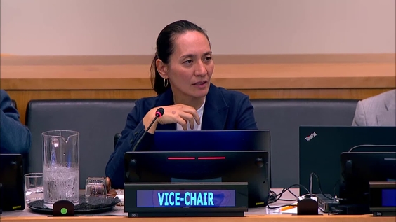 (3rd meeting) 25th session of the Committee of Experts on Public Administration - Economic and Social Council