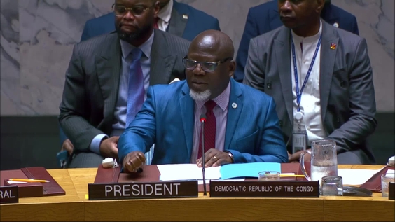 Peace and security in Africa - Security Council, 10204th meeting