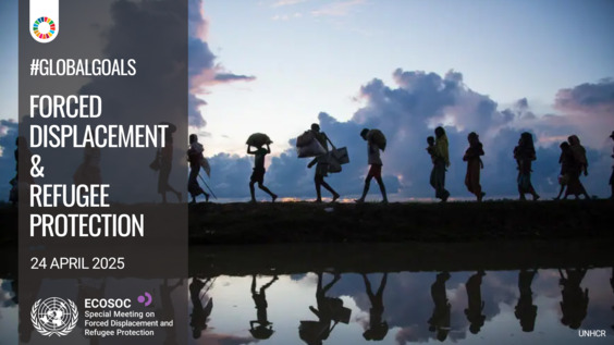 Economic and Social Council