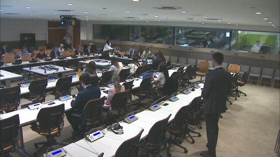 Synergy Between Two Movements: Paralympics and Disability (COSP19 Side Event)
