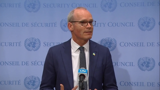 Simon Coveney (Ireland) on Middle East and Ukraine - Security Council Media Stakeout