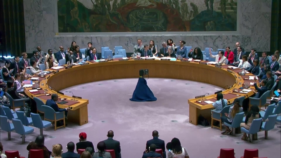 The question concerning Haiti - Security Council, 9684th meeting