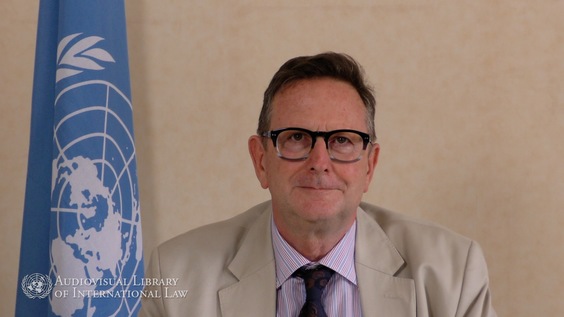 Andrew Clapham - The Meaning of War in International Law