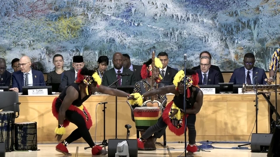 1st Meeting, 5th session of the Permanent Forum on People of African Descent