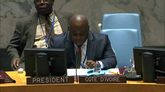 8433rd Security Council Meeting: Peace and Security in Africa