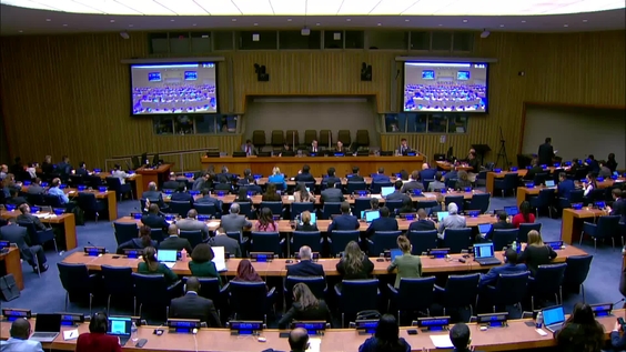 Fourth Committee, 1st plenary meeting - General Assembly, 80th session