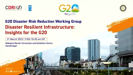 Disaster Resilient Infrastructure: Insights for G20