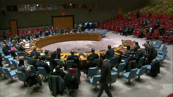 8442nd Security Council Meeting: Peace Consolidation in West Africa