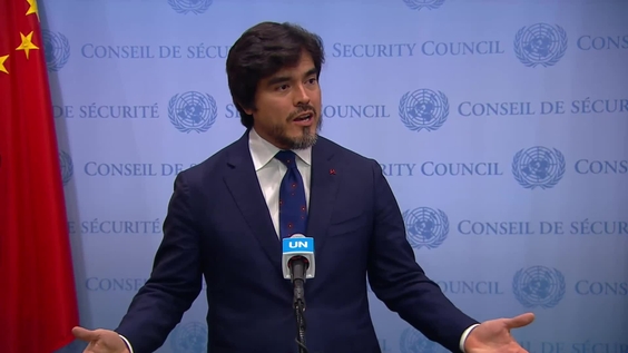 José De La Gasca (Ecuador, SC President) on the situation in the Middle East, including the Palestinian question -  Security Council Media Stakeout