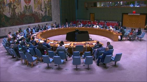 Cooperation between the United Nations and the Organization of Islamic Cooperation - Security Council, 9964th meeting