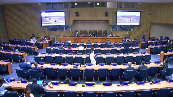 Briefing Second World Summit for Social Development 2025