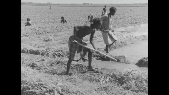 Economic Commission for Africa - Part 6