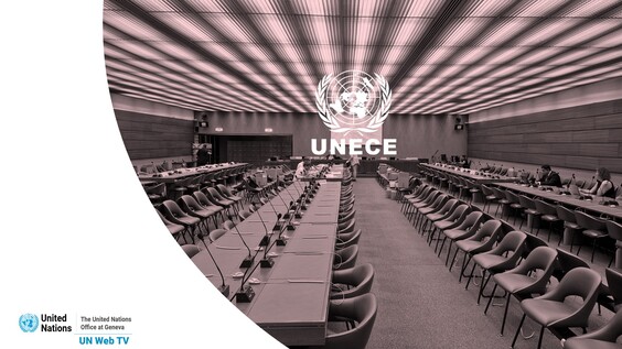 6th Session, Meeting of the Group of Experts on Consumer Price Indices