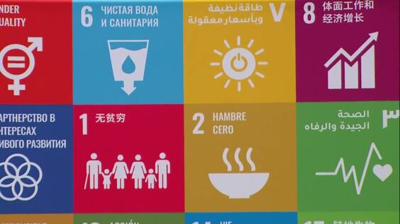 Sustainable Development, Water and Biodiversity:  Global to local action in support of Water and the Sustainable Development Goals - SDG Media Zone (UN 2023 Water Conference)