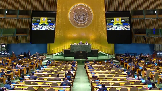 General Assembly: 57th plenary meeting, Tenth emergency special session