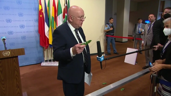 Vassily Nebenzia (Russia) on the situation in Ukraine - Security Council Media Stakeout