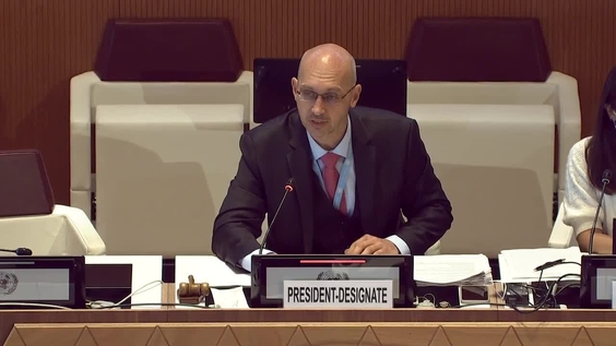 1st Meeting, 2022 Amended Protocol II Group of Experts (CCW)