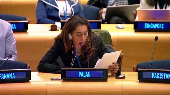 Sixth Committee, 28th plenary meeting - General Assembly, 80th session