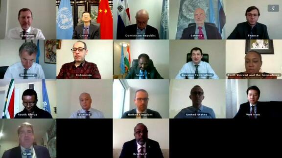 751 Committee (Somalia) - Security Council Open VTC