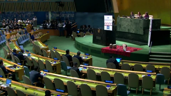 United Nations High Level Forum on The Culture of Peace - 20th Anniversary Convened by the President of the 73rd Session of the General Assembly