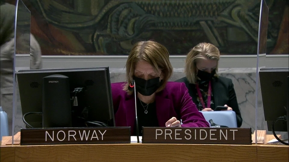 The situation in the Middle East - Security Council, 8958th Meeting