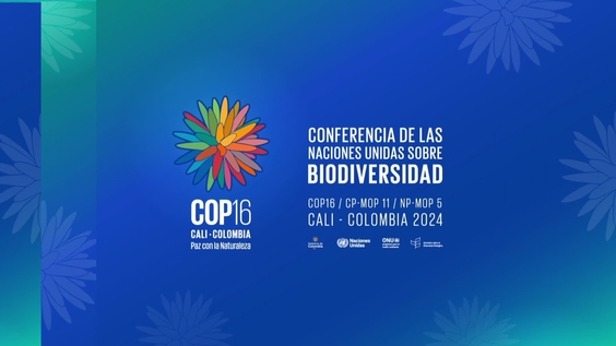 Finance and Biodiversity Day (1st Meeting) – United Nations Biodiversity Conference 2024
