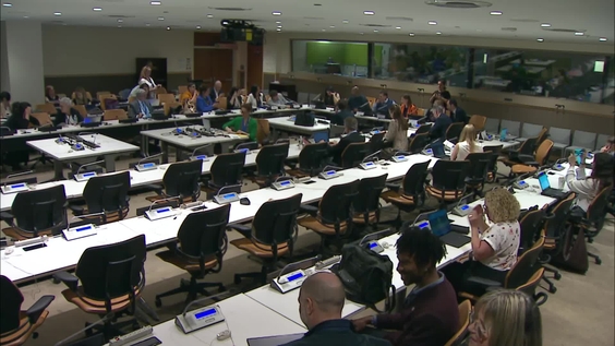 The role of the private sector in creating inclusive care and support for persons with disabilities (COSP19 Side Event)