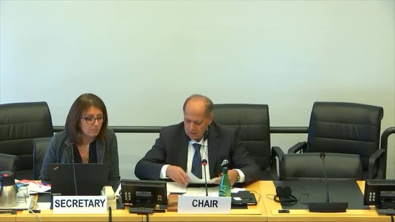 Day of General Discussion (Cont'd) - 3594th Meeting 125th Session of Human Rights Committee