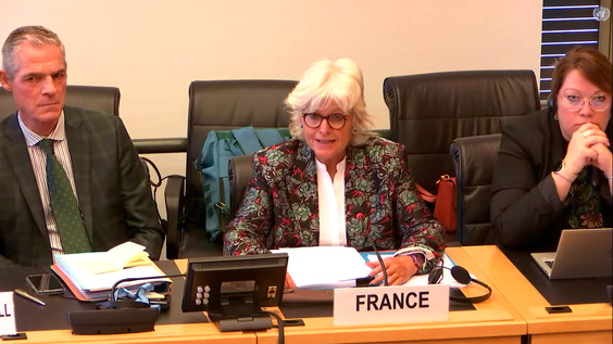 4160th Meeting, 142nd Session, Human Rights Committee (CCPR)