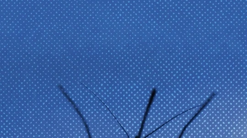 Vacunas para la malaria más baratas y accesibles