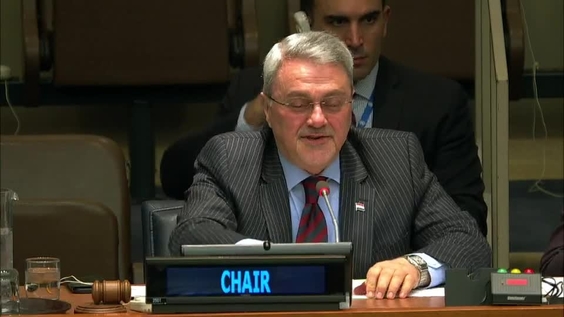 Fourth Committee, 21st meeting - General Assembly, 74th session