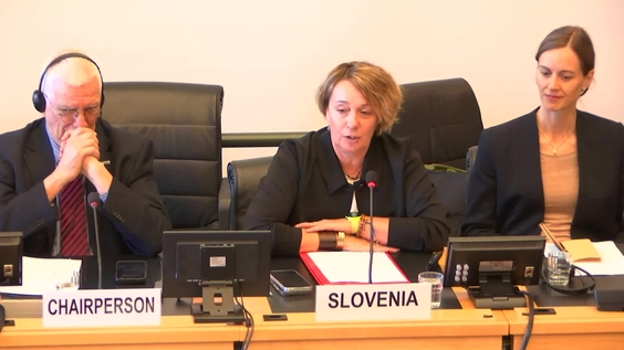 3201st Meeting, 117th Session, Committee on the Elimination of Racial Discrimination (CERD)