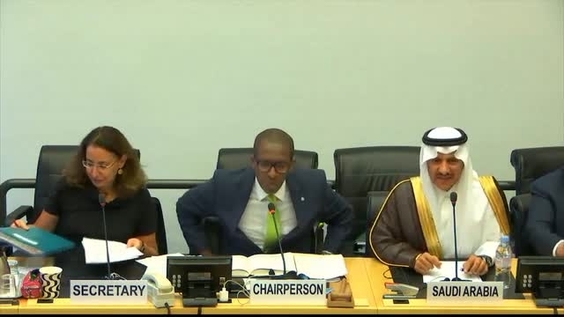 Consideration of Saudi Arabia (Cont'd)- 2145th Meeting, 73rd Session of Committee on Rights of the Child