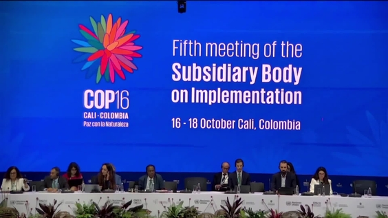 SBI-5: Plenary 2 at COP16 – United Nations Biodiversity Conference 2024