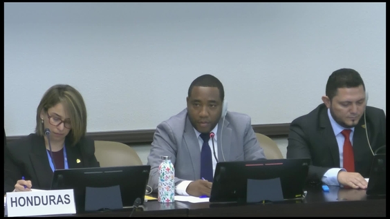 3233rd Meeting, 118th Session, Committee on the Elimination of Racial Discrimination (CERD)