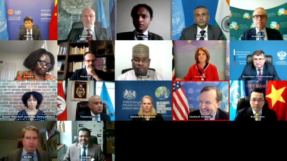 1591 Committee (Sudan Sanctions) - Security Council VTC
