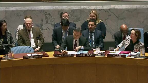 8152nd Security Council Meeting: Situation in Middle East 