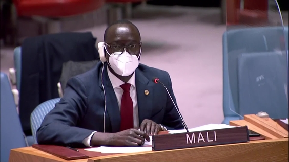 The situation in Mali - Security Council, 8945th meeting