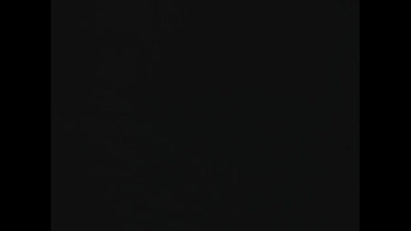 993rd, 994th Meetings of Security Council 