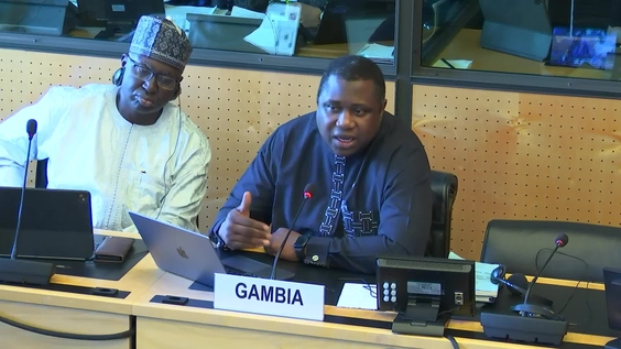 516th Meeting, 28th Session, Committee on Enforced Disappearances (CED)