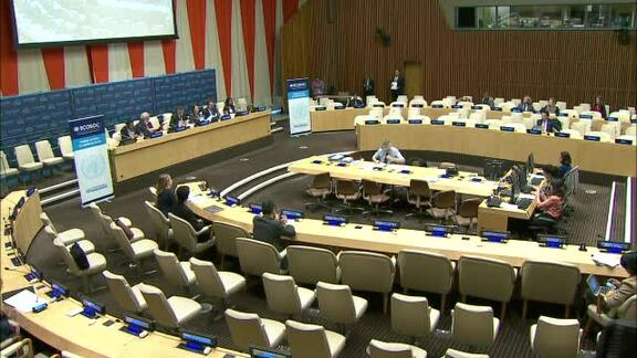 Economic and Social Council: 2017 Integration Segment, 24th Meeting