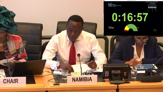 2997th Meeting, 110th Session, Committee on the Elimination of Racial Discrimination (CERD)